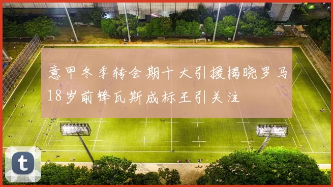 意甲冬季转会期十大引援揭晓罗马18岁前锋瓦斯成标王引关注